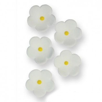 Decoraciones de azúcar Flores blancas 30 unidades PME