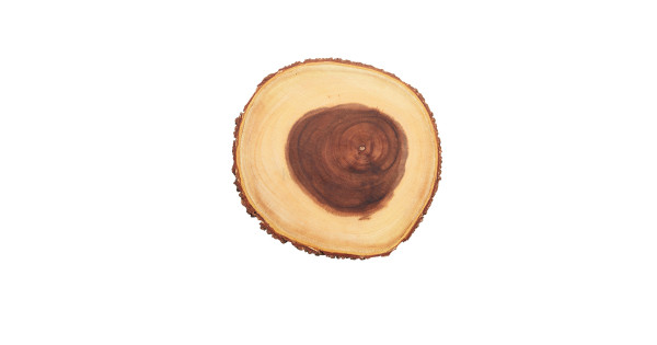 Rodaja de tronco de árbol redondo Artesa