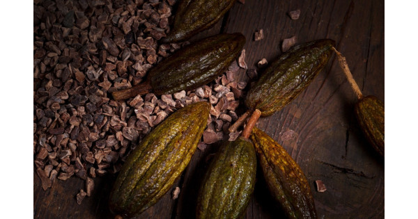 Nibs de Cacao 250 g Callebaut