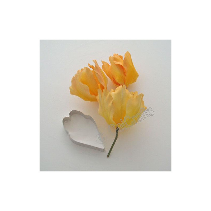 Cortante Petalo Flor Tulipan