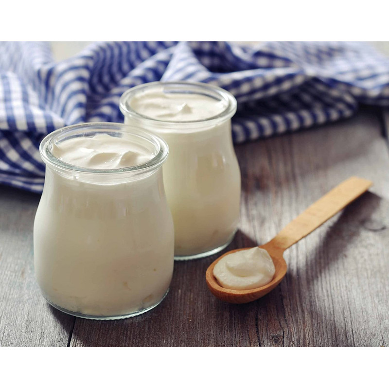 Yogurtera 1.8 litros LACOR