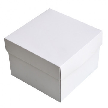 Caja para tarta cuadrada 23 x 23 x 15 cm Blanca