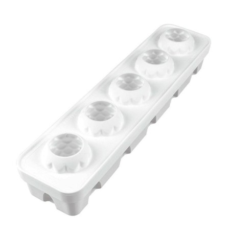 Molde 5 cavidades Foresta Silikomart Professional