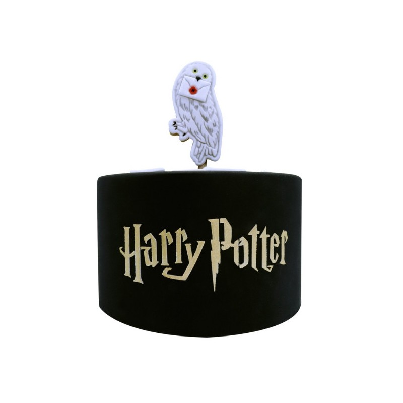 Plantilla Stencil para tarta Harry Potter PME