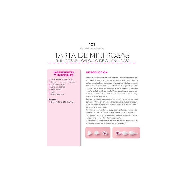 Libro Decora con glasé real Rosa María Escribano y Sonia Rincón