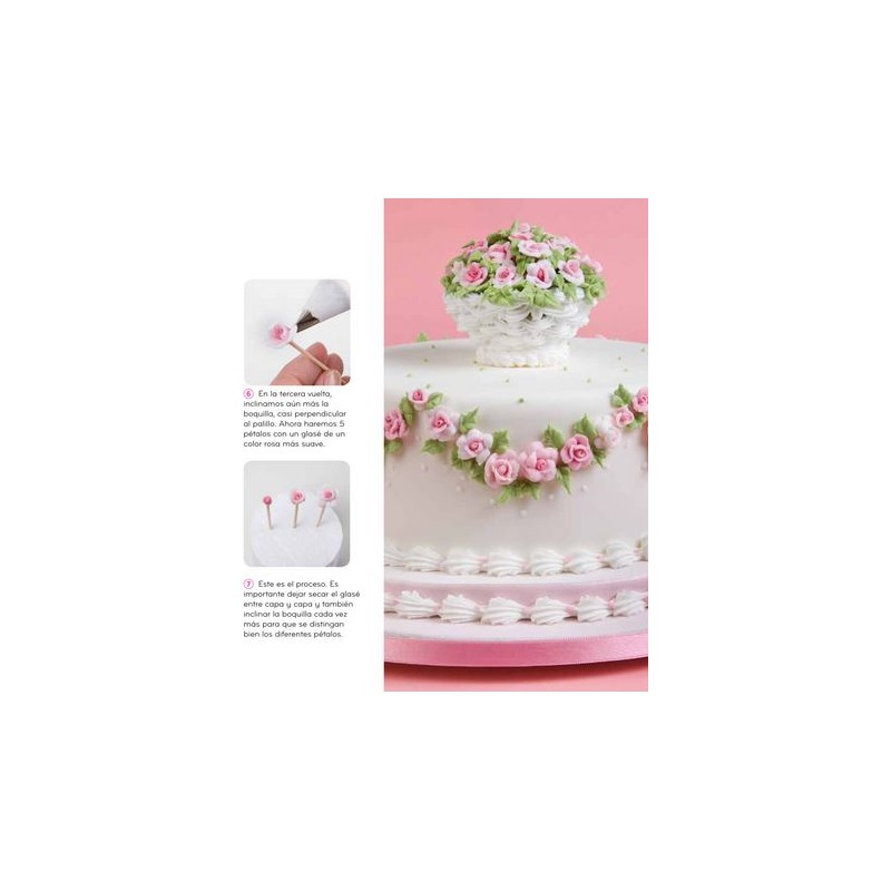 Libro Decora con glasé real Rosa María Escribano y Sonia Rincón