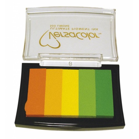 Set 5 tintas Versacolor Limone