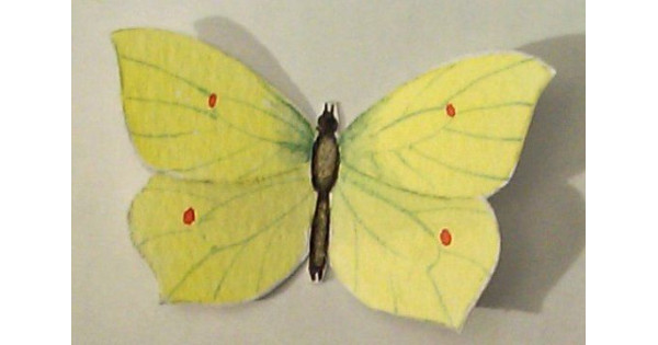 Molde silicona Mariposa Gonepteryx Hawthorne Hill