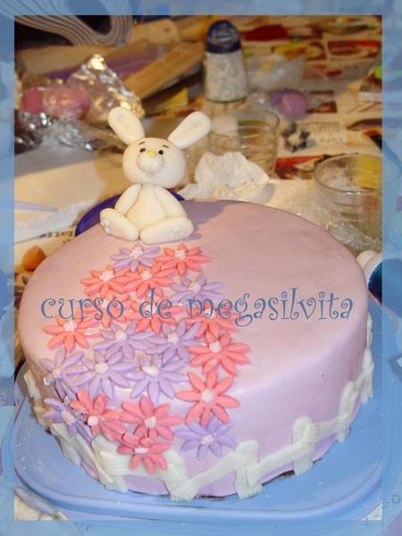 curso rota